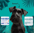 Haus of Floof Pet Ear Cleaner + Dental Finger Wipes Combo – 1-Pack | Plant-Powered Formula