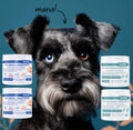 Haus of Floof Pet Ear Cleaner + Dental Finger Wipes Combo – 2-Pack | Plant-Powered Formula